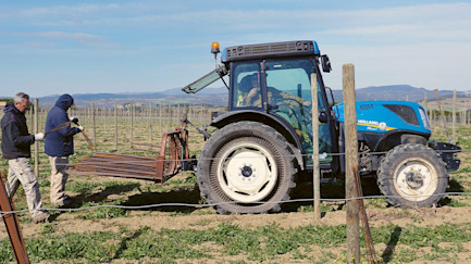 nachhaltig-mit-groesse-coverImage