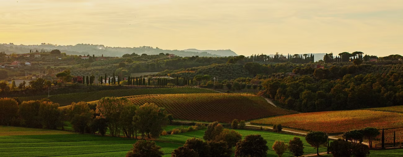 Ausblick von Tenuta Vallocaia