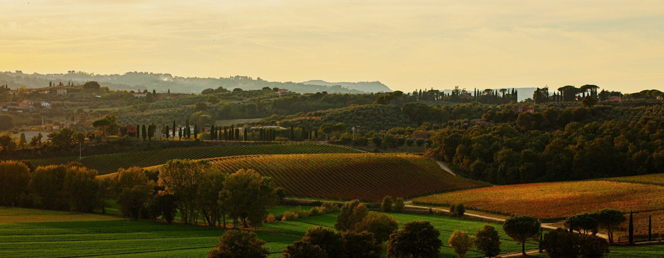 Ausblick von Tenuta Vallocaia