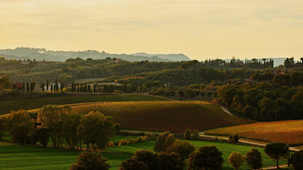 Ausblick von Tenuta Vallocaia