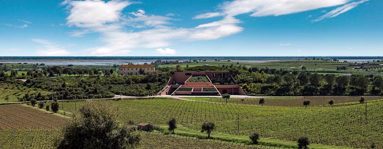 bindella-weinshop-weinwissen-wein-und-geniessermagazin-neuland-01-nblog