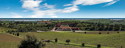 bindella-weinshop-weinwissen-wein-und-geniessermagazin-neuland-01-nblog