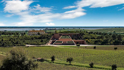 bindella-weinshop-weinwissen-wein-und-geniessermagazin-neuland-01-nblog