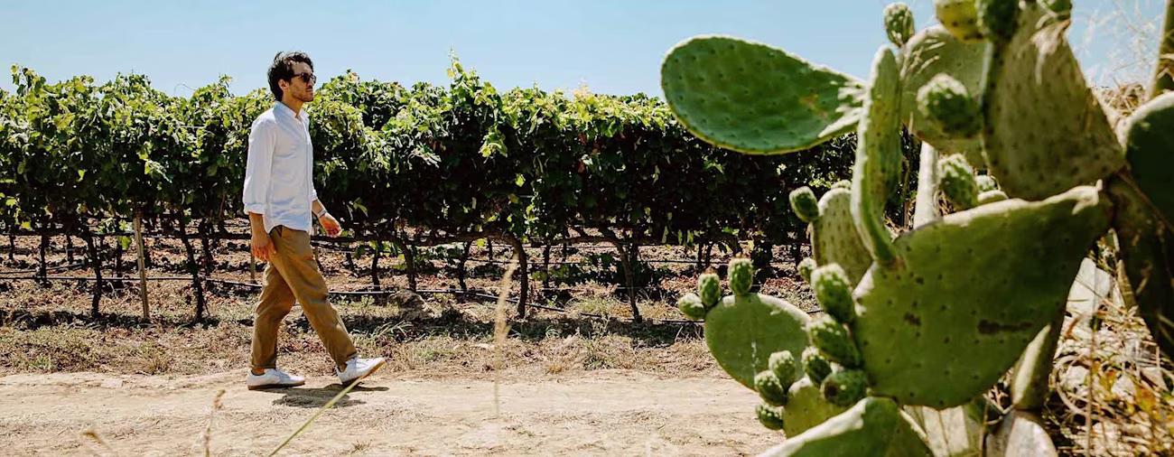 neuneuneu-carrubo-von-tormaresca-00