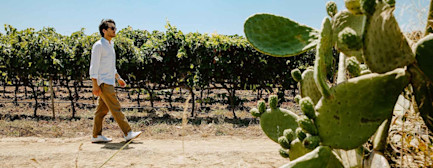 neuneuneu-carrubo-von-tormaresca-00