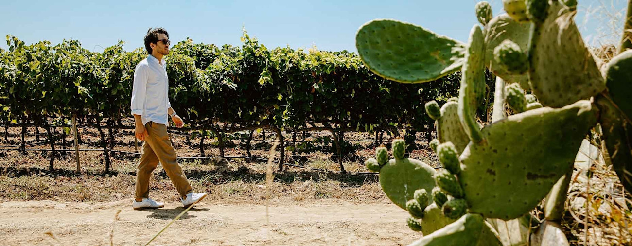 neuneuneu-carrubo-von-tormaresca-00