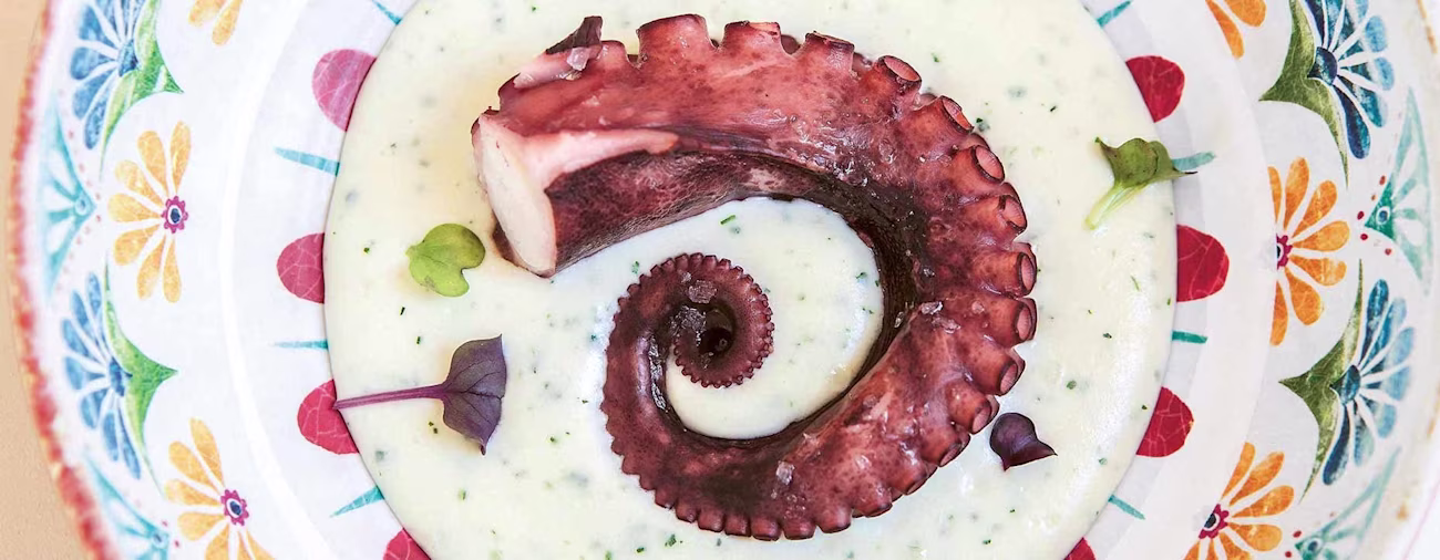 bindella-blog-gastronomie-polpo-00