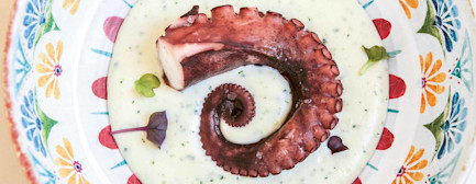 bindella-blog-gastronomie-polpo-00