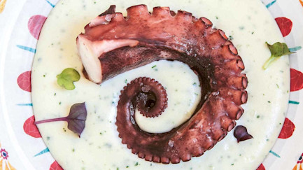 bindella-blog-gastronomie-polpo-00