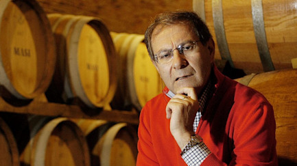 bindella-blog-wein-masi-konsortium-Masi-nblog-neu