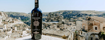 bindella-blog-news-primitivo-en-vogue-hero