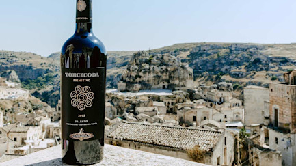 bindella-blog-news-primitivo-en-vogue-hero