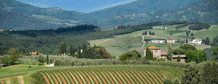 bindella-wein-santa-cristina-hero