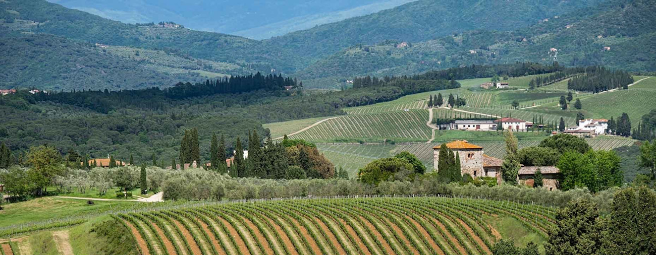 bindella-wein-santa-cristina-hero