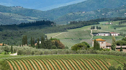 bindella-wein-santa-cristina-hero