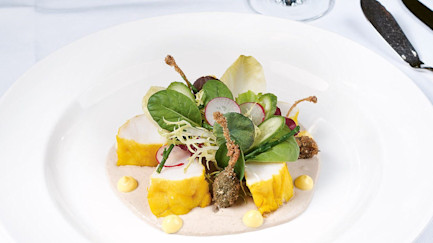 bindella-blog-rezepte-seeteufel-thunfischcreme-hero