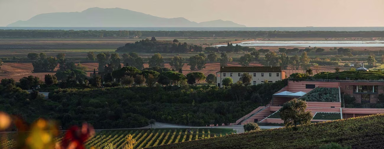 bindella-blog-news-seltener-Gast-auf-grosser-bühne-hero