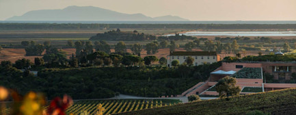 bindella-blog-news-seltener-Gast-auf-grosser-bühne-hero