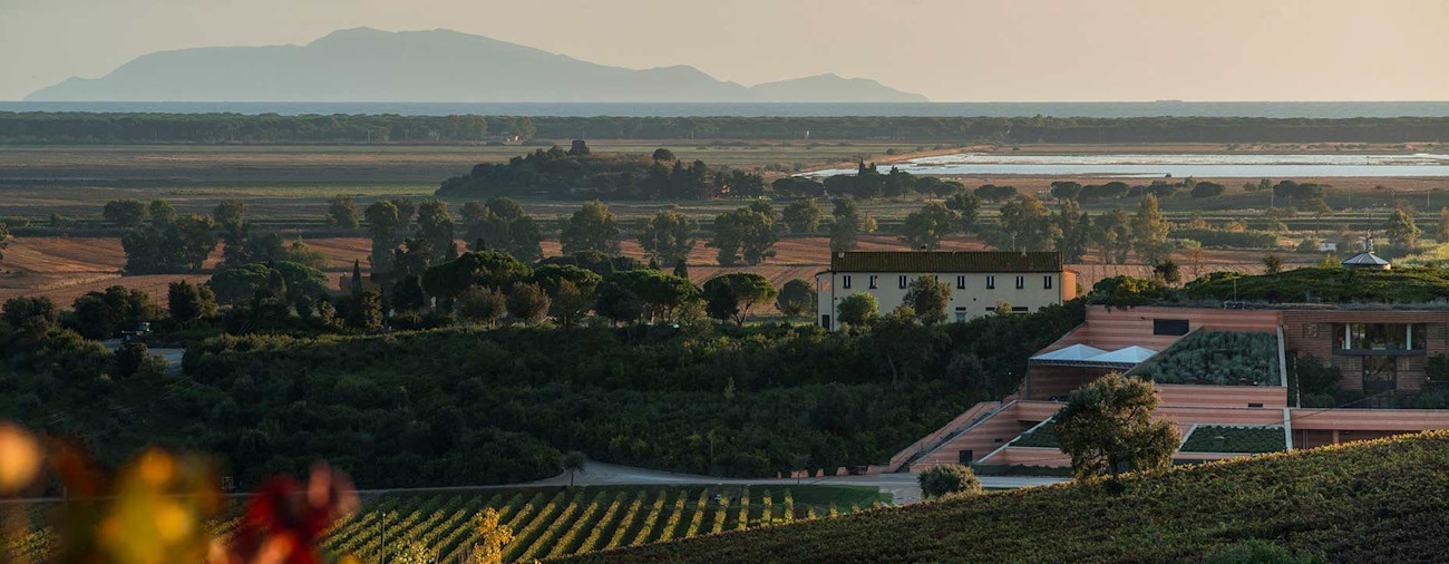 bindella-blog-news-seltener-Gast-auf-grosser-bühne-hero