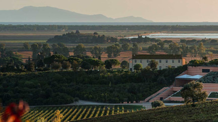 bindella-blog-news-seltener-Gast-auf-grosser-bühne-hero