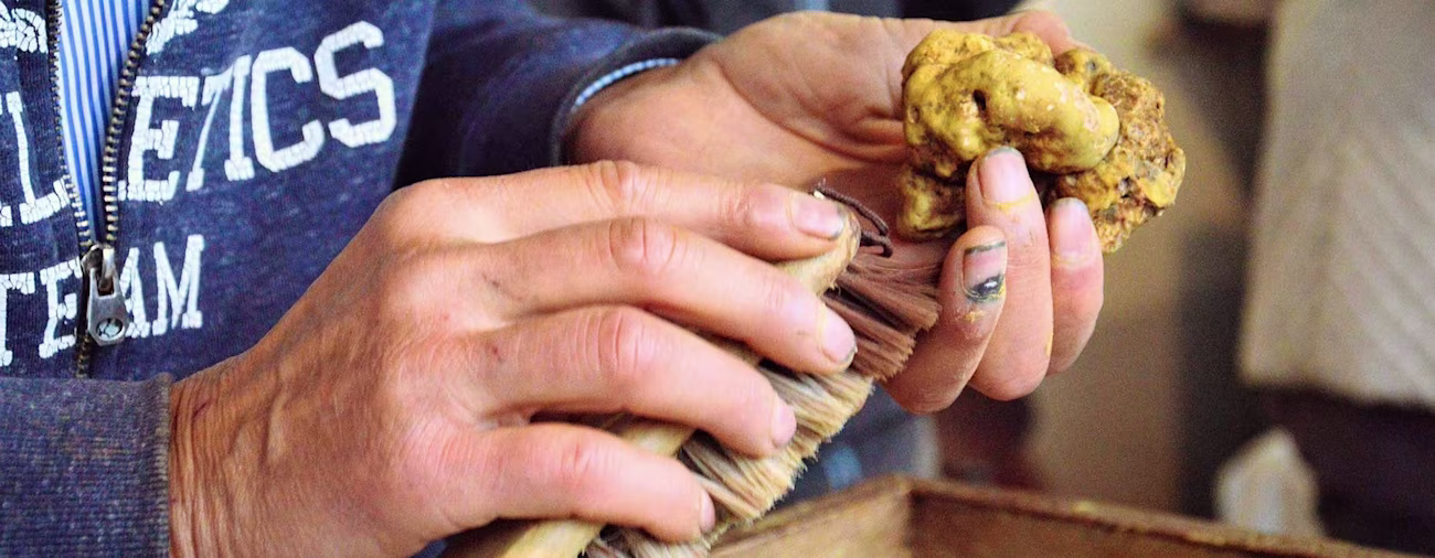 bindella-blog-news-hochgenuss-in-gefahr-hero