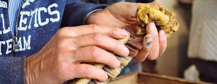 bindella-blog-news-hochgenuss-in-gefahr-hero