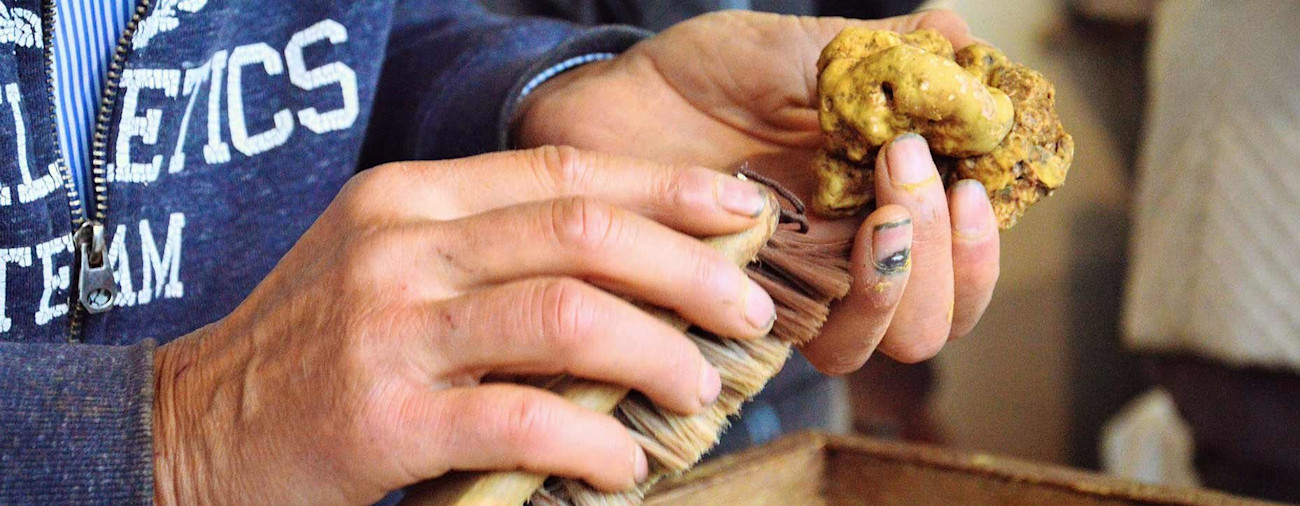 bindella-blog-news-hochgenuss-in-gefahr-hero