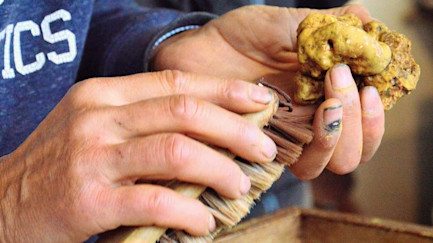 bindella-blog-news-hochgenuss-in-gefahr-hero