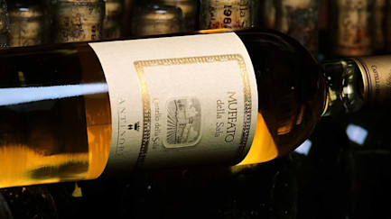 bindella-blog-news-sweet-sensation-muffato-hero