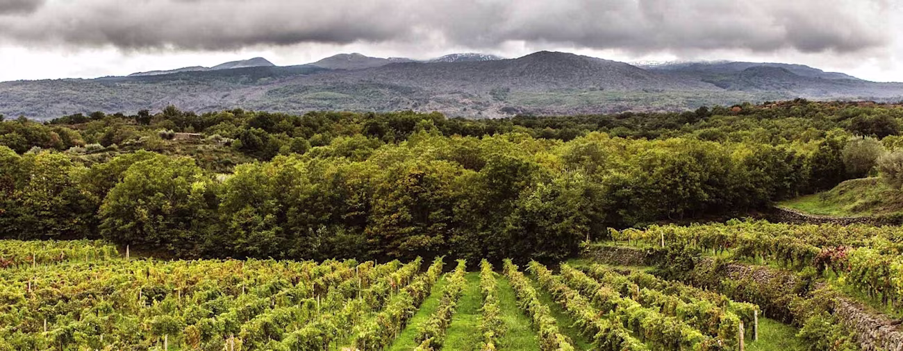 bindella-blog-nachhaltigkeit-tasca-ist-nachhaltiger-denn-je-nblog