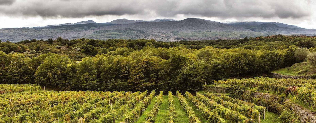 bindella-blog-nachhaltigkeit-tasca-ist-nachhaltiger-denn-je-nblog