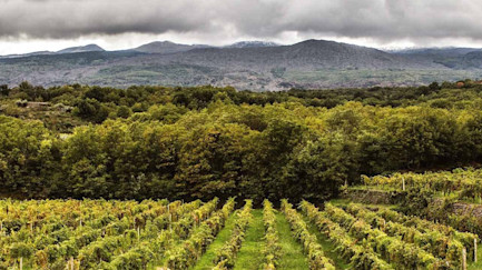 bindella-blog-nachhaltigkeit-tasca-ist-nachhaltiger-denn-je-nblog