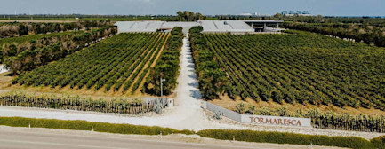 bindella-blog-news-3-shades-of-primitivo-hero-neu