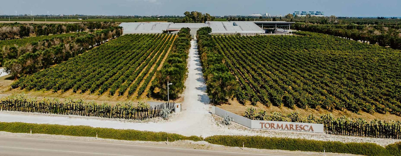 bindella-blog-news-3-shades-of-primitivo-hero-neu