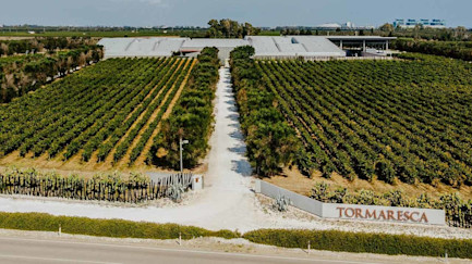 bindella-blog-news-3-shades-of-primitivo-hero-neu