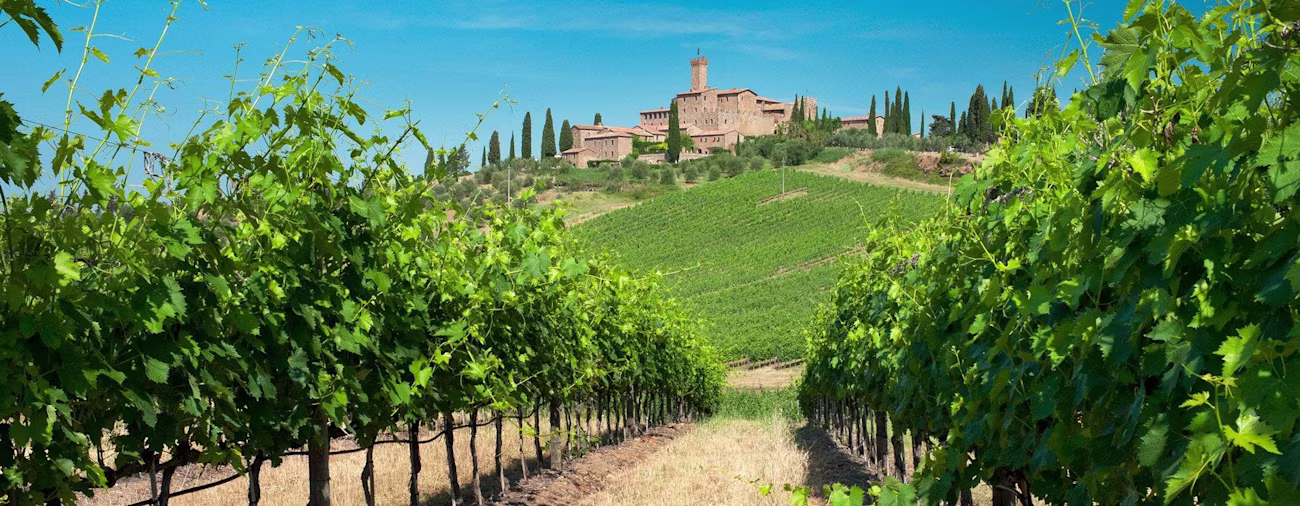 bindella-blog-News-Castello-Banfi-Oscar-del-vino-2023-nblog