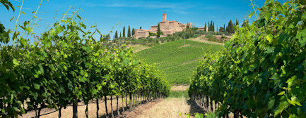 bindella-blog-News-Castello-Banfi-Oscar-del-vino-2023-nblog