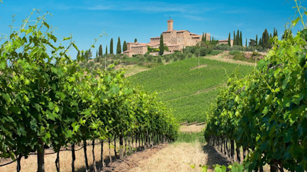 bindella-blog-News-Castello-Banfi-Oscar-del-vino-2023-nblog