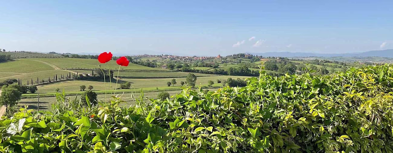 bindella-blog-news-primavera-vallocaia-hero