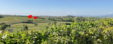 bindella-blog-news-primavera-vallocaia-hero