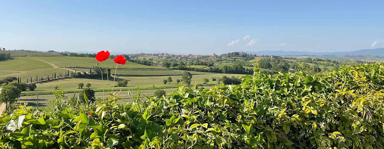 bindella-blog-news-primavera-vallocaia-hero