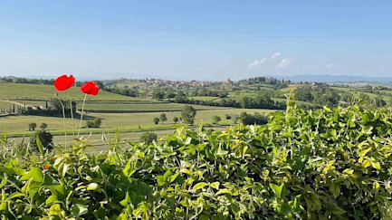 bindella-blog-news-primavera-vallocaia-hero