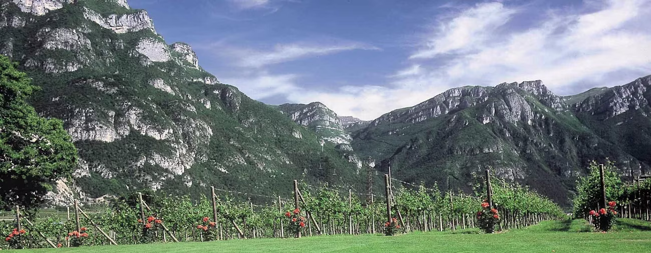 bindella-weinshop-weinwissen-wein-und-geniessermagazin-von-der-identitaet-der-berge-nblog