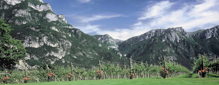 bindella-weinshop-weinwissen-wein-und-geniessermagazin-von-der-identitaet-der-berge-nblog