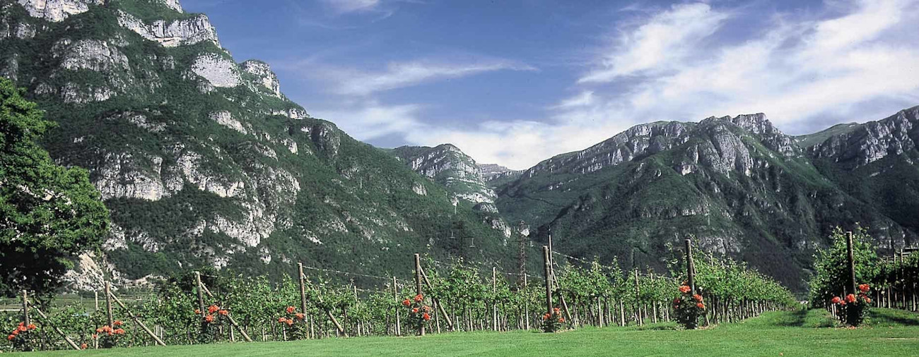 bindella-weinshop-weinwissen-wein-und-geniessermagazin-von-der-identitaet-der-berge-nblog