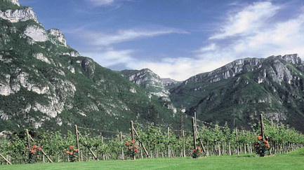 bindella-weinshop-weinwissen-wein-und-geniessermagazin-von-der-identitaet-der-berge-nblog