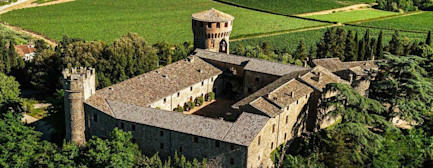 bindella-blog-news-die-weissen-wunder-hero