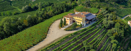 weltneuheit-prosecco-in-rose-00