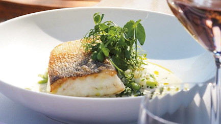 bindella-blog-rezept-zander-spinat-rollgerste-hero