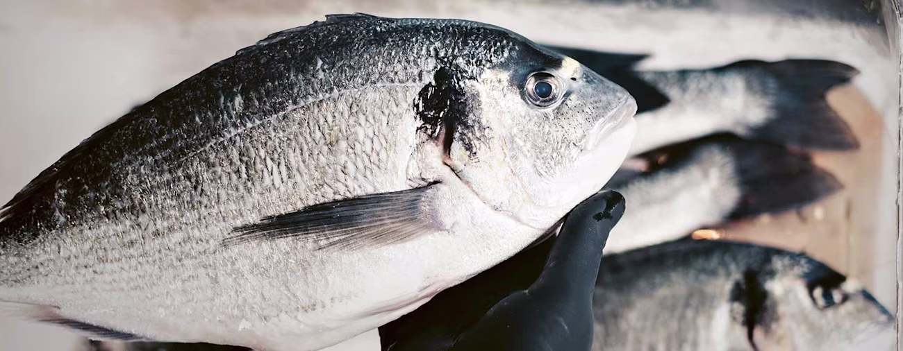 bindella-blog-news-zurigo-al-mare-hero